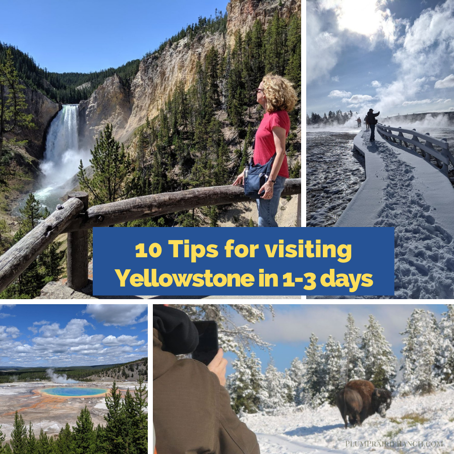 Top 10 Tips For Visiting Yellowstone National Park In Just 1 To 3 Days ...